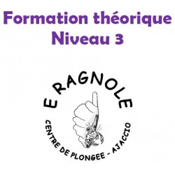 Formation théorique N3